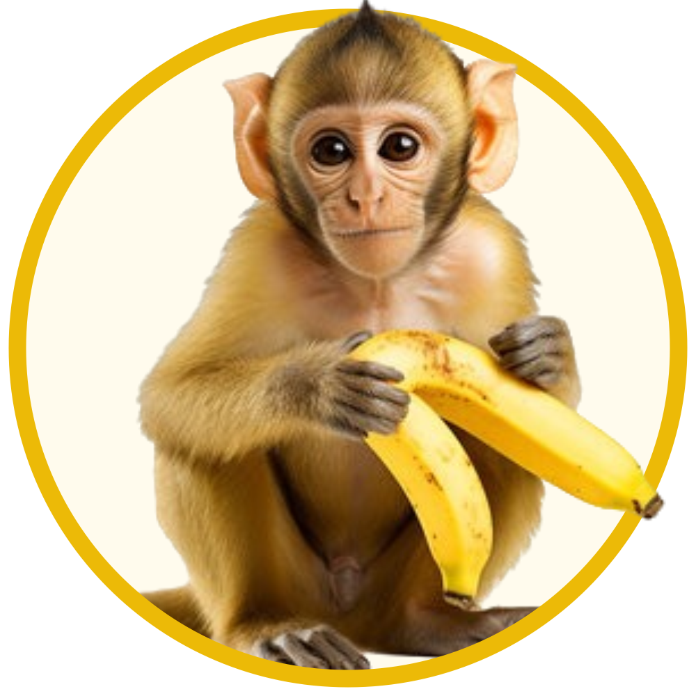 monkey png